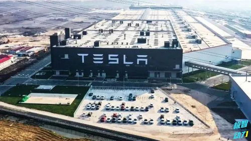 降低成本這招我會 豐田開發新車身技術，直指行業成本命門