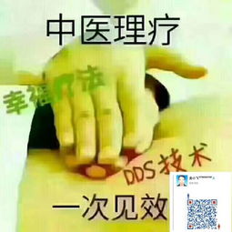 中醫(yī)養(yǎng)生保健服務(wù) 傳統(tǒng)智慧與現(xiàn)代生活的優(yōu)雅融合